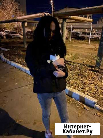 Котята в добрые руки бесплатно Астрахань - изображение 1