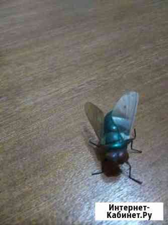 Приманка муха Хабаровск