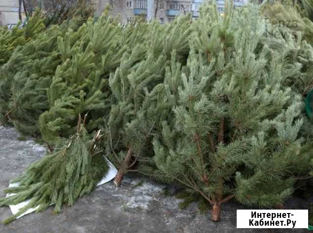 Продавец елок Липецк - изображение 1