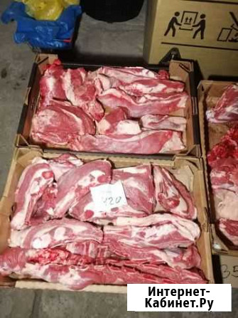 Продам молодую домашнюю говядину Тамбов - изображение 1