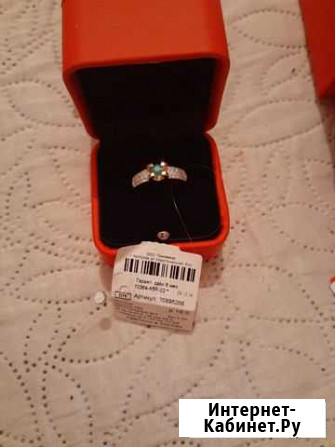 Золотое кольцо Абакан - изображение 1