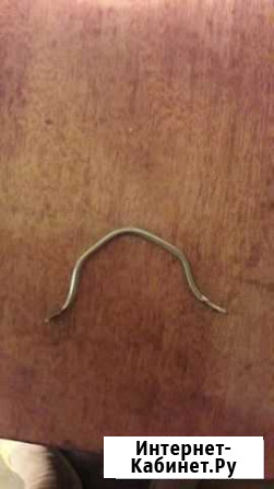 Скоба для часов ракета (будильник) Мурманск - изображение 1