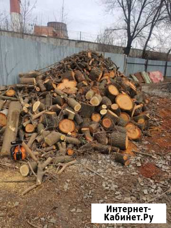 Продаю Дрова Фрукты и Твёрдые породы Стволы Тополя Ростов-на-Дону - изображение 1
