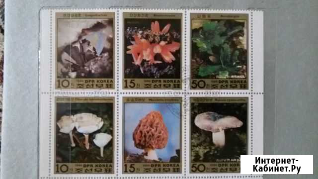 Марки (блок) Северная Корея Мурино - изображение 1
