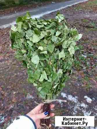 Веник Ярославль