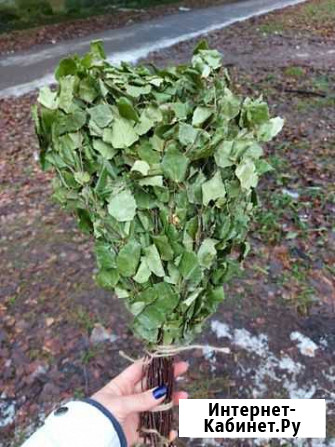 Веник Ярославль - изображение 1