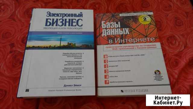 Базы данных в Интернете,Электронный бизнес Набережные Челны - изображение 1