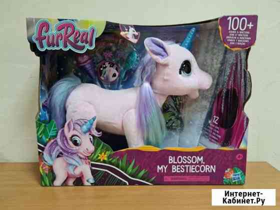 Furreal friends Нижний Новгород