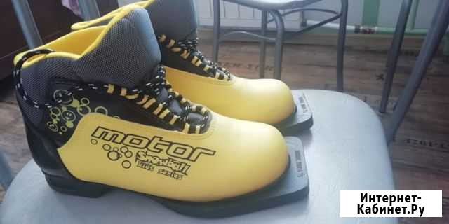 Лыжные ботинки Петропавловск-Камчатский - изображение 1