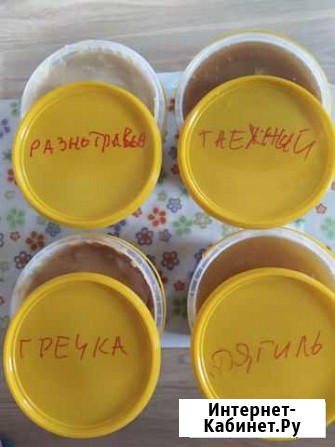 Мёд Алтайский (таёжный, гречишный, дягилевый, разн Тверь - изображение 1