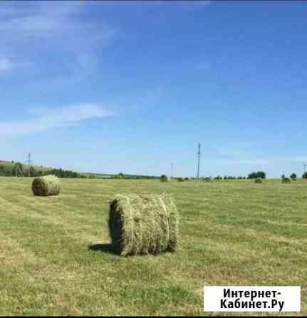 Сено люцерны в рулонах Летняя Ставка