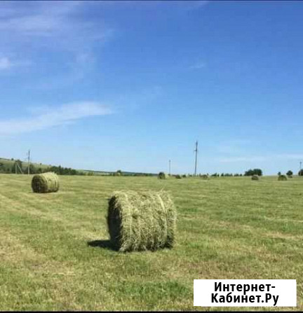 Сено люцерны в рулонах Летняя Ставка - изображение 1