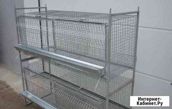 Клетки для бролеров кроликов курей несушек по ваши Кемерово