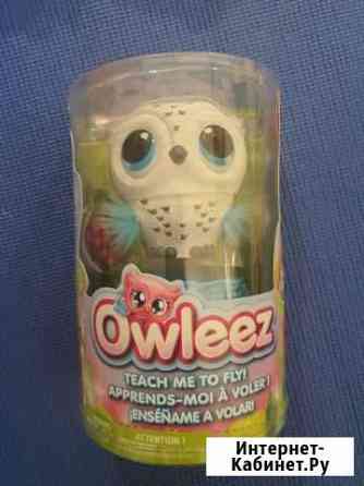 Сова Owleez Вологда