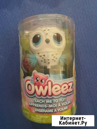 Сова Owleez Вологда - изображение 1