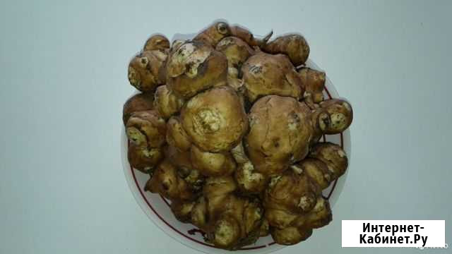 Топинамбур - клубни снижают сахар крови Уфа - изображение 1