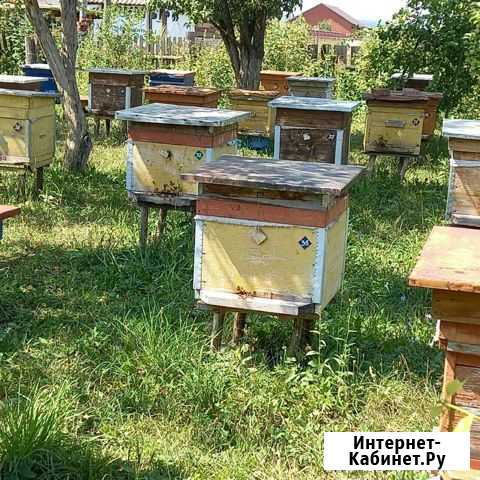 Пасека Караидель - изображение 1