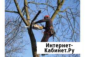 Спил деревьев. Очистка кровли от снега и наледи Шадринск - изображение 1