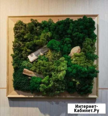 Eco картина из настоящего мха Новый Уренгой - изображение 1