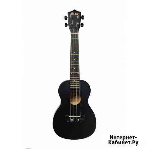 Укулеле концерт Terris TTC-1 BK, черный Иркутск