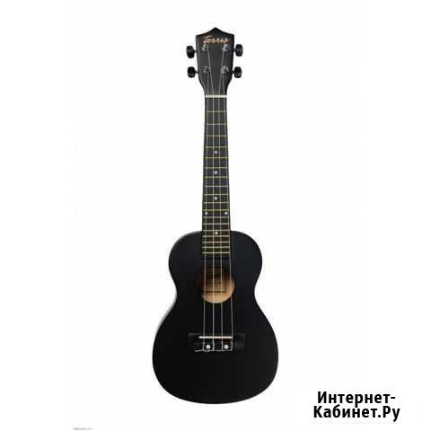 Укулеле концерт Terris TTC-1 BK, черный Иркутск - изображение 1