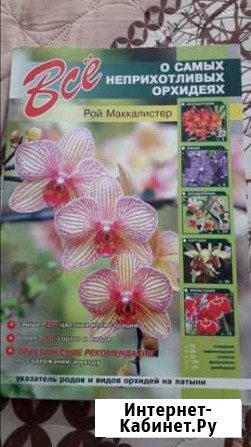 Всё об орхидеях Братск - изображение 1