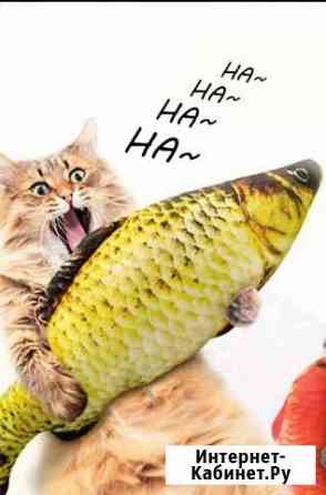 Рыба танцующая для кошек Воронеж