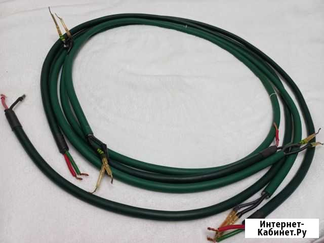 Einstein greenline Курск - изображение 1