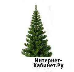 Искусственные ели, сосны Гусь-Хрустальный
