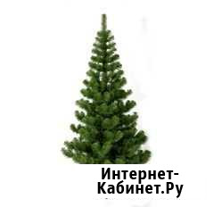 Искусственные ели, сосны Гусь-Хрустальный - изображение 1