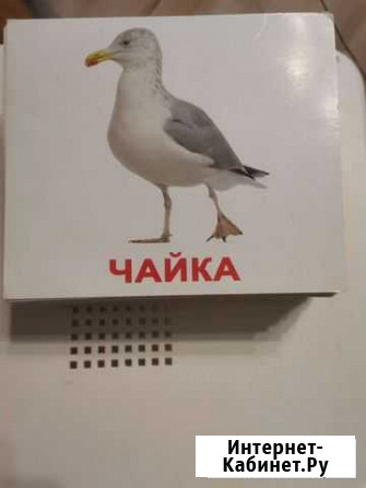 Развивающие карточки, животные, растения, явления Петропавловск-Камчатский - изображение 1