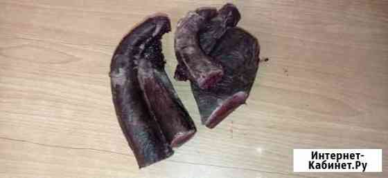 Панты марала рога Барнаул