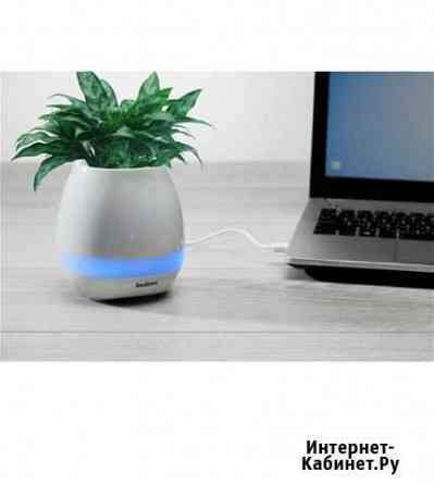 Музыкальное кашпо/ портативная колонка Нижний Новгород