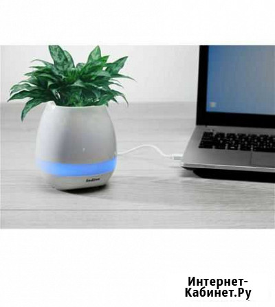 Музыкальное кашпо/ портативная колонка Нижний Новгород - изображение 1