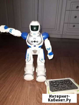 Робот Волгоград - изображение 1