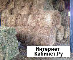 Сено Красное - изображение 1