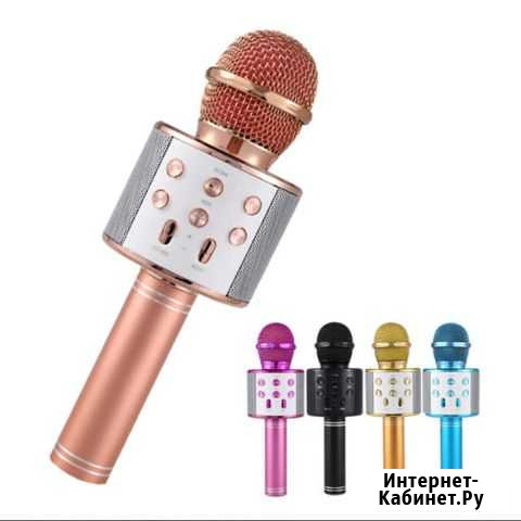 Микрофон-колонка для караоке Тюмень - изображение 1