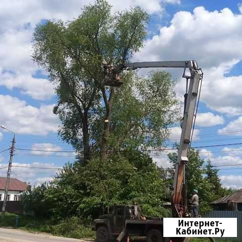 Спил деревьев Тула - изображение 1