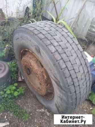 Boto 155/105 R50 Свердлова