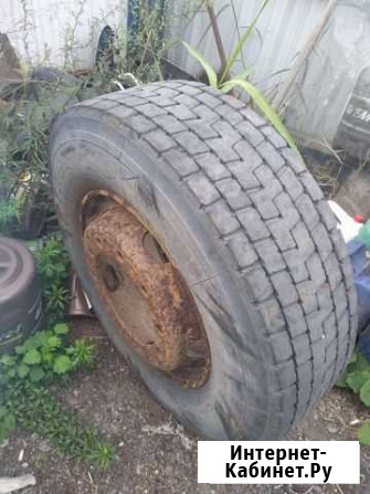 Boto 155/105 R50 Свердлова - изображение 1