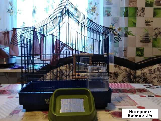 Клетка для попугая Мончегорск - изображение 1