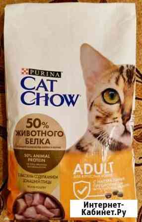 Purina CAT chow Adult с домашней птицей Минеральные Воды