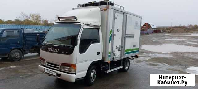 Isuzu Elf, 1996 Новобурейский - изображение 1