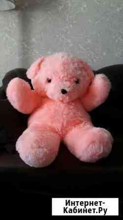 Медведь большой новый Петропавловск-Камчатский