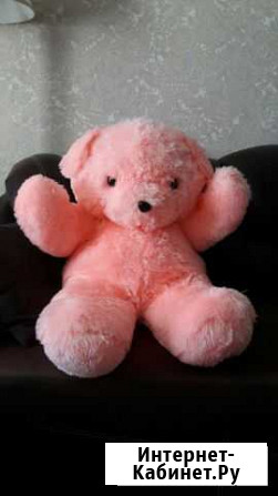 Медведь большой новый Петропавловск-Камчатский - изображение 1