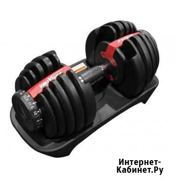 Регулируемая гантель proxima Gigant 24кг, Арт. PS Оренбург - изображение 1
