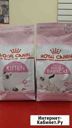 Корм для животных Самара