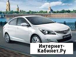 Пассажирские перевозки. Встречи в аэропорту Петрозаводск - изображение 1