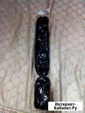 Канеколон каштановый Москва