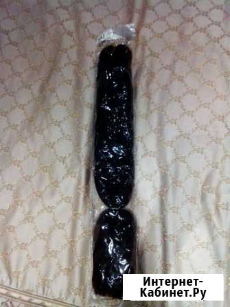 Канеколон каштановый Москва - изображение 1